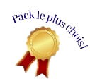 Médaille d'or avec rubans rouges et texte pack le plus choisi mettant en avant l'offre la plus populaire.